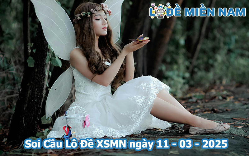 Soi Cầu – Chốt Số Lô Đề XSMN ngày 11-03-2025